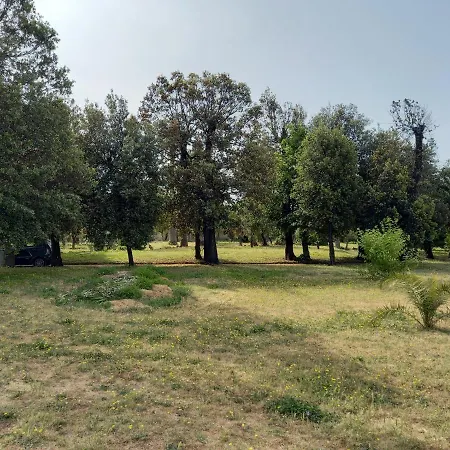 Interno3 בית הארחה פורטיצ'י